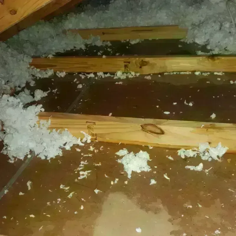 Attic Water Damage in Utica, SC