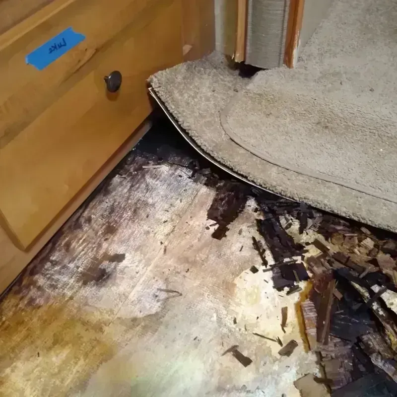 Wood Floor Water Damage in Utica, SC